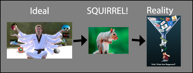 ideal-squirrel-reality